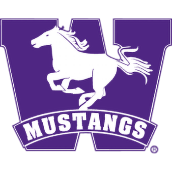 Western Mustangs