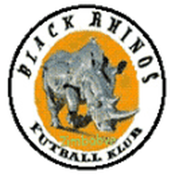 Black Rhinos