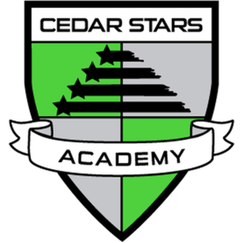 Cedar Stars Rush