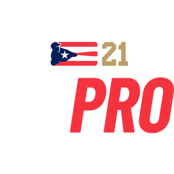 Liga de Béisbol Profesional Roberto Clemente
