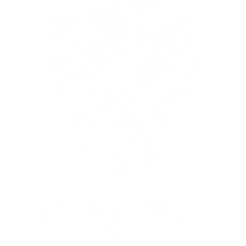 Somerset t20