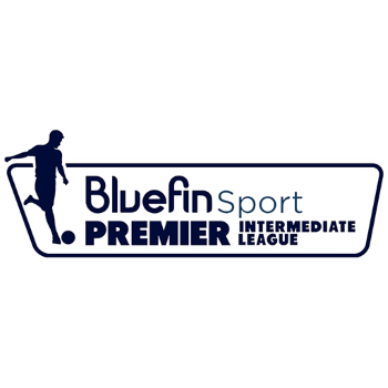 Northern Irish Premier Intermediate League