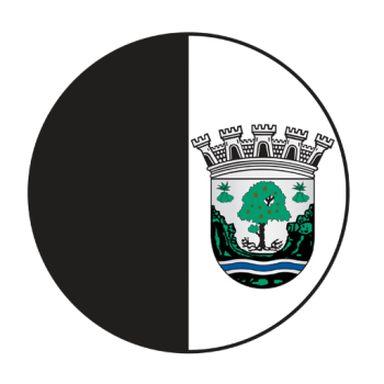 Académico do Fundão