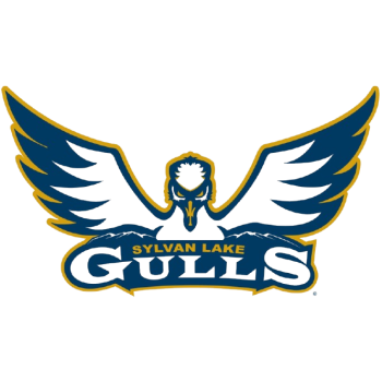 Sylvan Lake Gulls