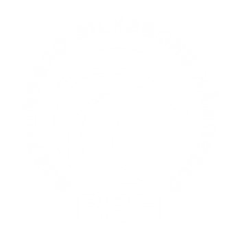 Bjerringbro-Silkeborg Håndbold