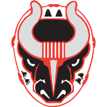 Birmingham Bulls
