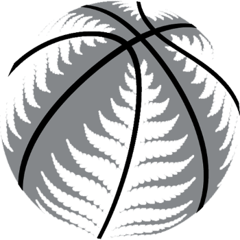 New Zealand Basketball