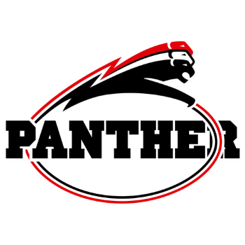 Düsseldorf Panther