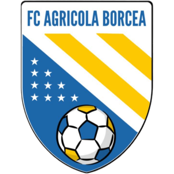 Agricola Borcea
