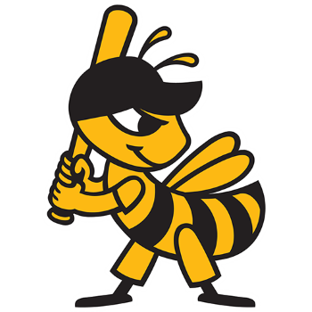 Salt Lake Bees