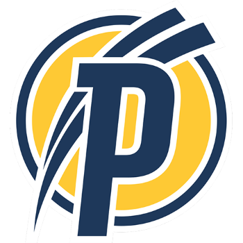 Puskás Akadémia FC