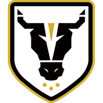 Bulls FC Academy