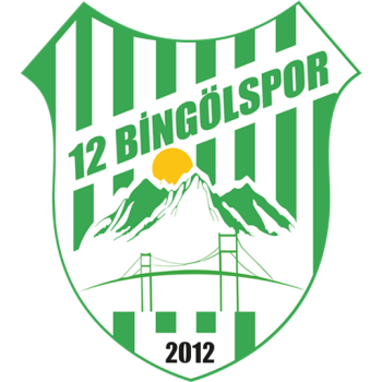 12 Bingölspor